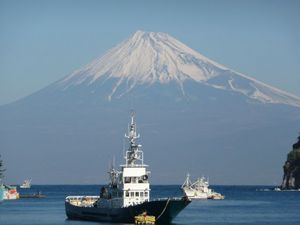 今日の富士山（戸田港より）