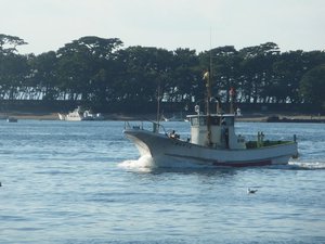 高足ガニのかご網漁（駿河湾）