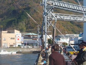今朝の岸壁釣り（戸田港）