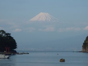 今日の富士山（戸田港）