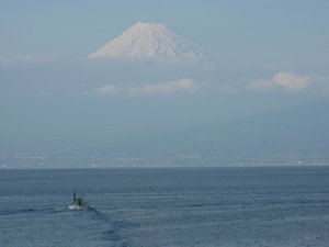 今日の富士山（戸田港）