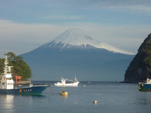 今日の富士山（戸田港）