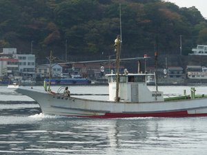 高足ガニのかご網漁（駿河湾のカゴ網漁）