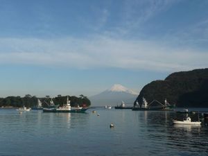 今日の富士山（戸田港より）