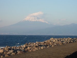 深海ガニの水揚げ（駿河湾のトロール漁）