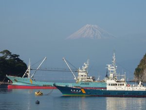 今日の富士山（戸田港より）