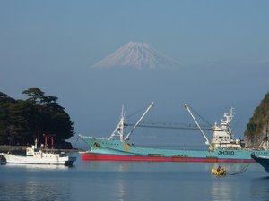 今日の富士山（戸田港より）