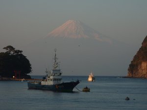 今日の富士山（戸田港）