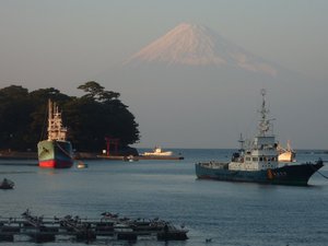 今日の富士山（戸田港）