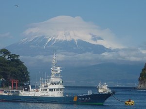今日の富士山（戸田港より）