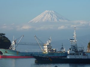 深海エビの水揚げ（アカザエビ、ボタンエビ、ヒゲナガエビ）