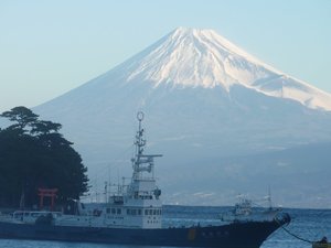 今日の富士山（戸田港）