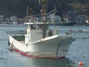 高足ガニのかご網漁の水揚げ（戸田港）