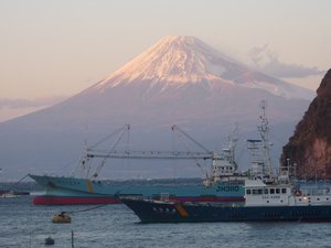 今日の富士山（戸田港）