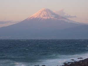 今日の富士山（戸田港）