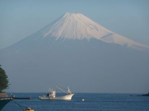 今日の富士山（戸田港より）