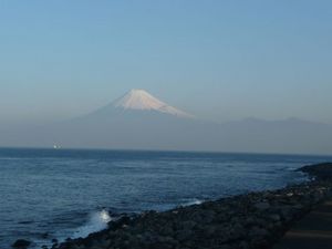 今日の富士山（戸田港より）