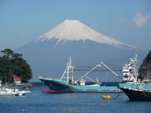 昨日の富士山（戸田港より）