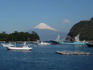 昨日の富士山（戸田港より）