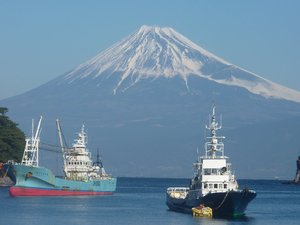 今日の富士山（戸田港）