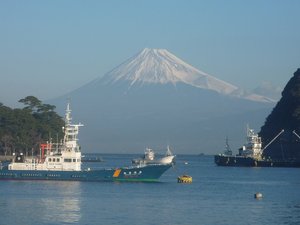 今日の富士山（戸田港）