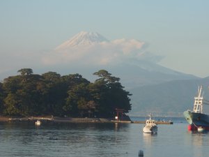 今日の富士山（戸田港）