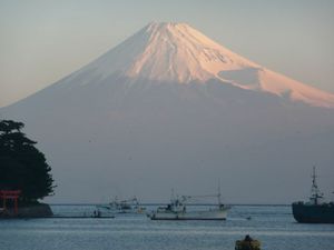 富士山（今朝の戸田港より）