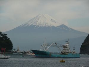 今日の富士山（戸田港より）