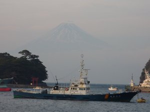今日の富士山（戸田港）