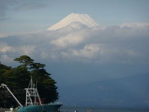 今日の富士山（戸田港より）