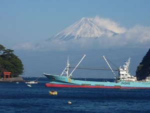 今日の富士山（戸田港）