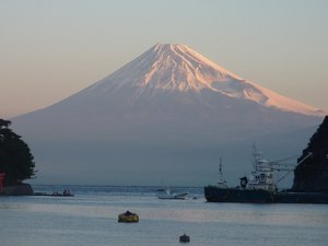 今日の富士山（戸田港）