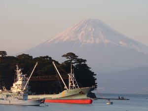 今日の富士山（戸田港）