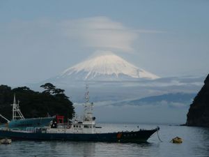 今日の富士山（戸田港より）