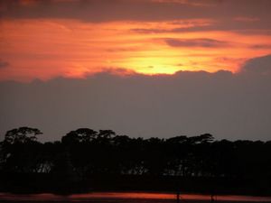 夕日に染まる雨の戸田港