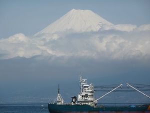 今日の富士山（戸田港より）