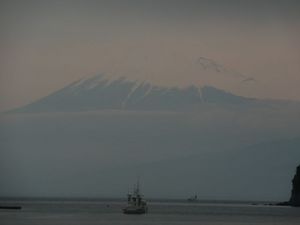 今日の富士山（戸田港より）