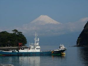 今日の富士山（戸田港より）