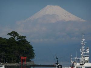 今日の富士山（戸田港より）