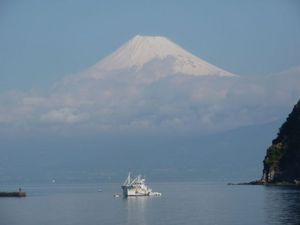 今日の富士山（戸田港より）