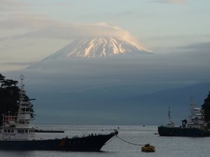 今日の富士山（戸田港）