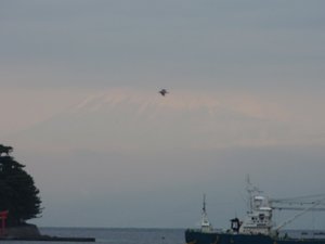 今日の戸田港