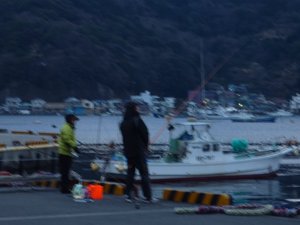 今日の戸田港