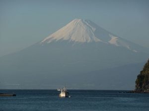 今日の富士山（戸田港より）