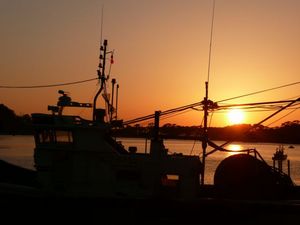 夕日に染まる戸田港