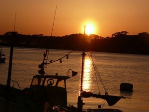 夕日に染まる戸田港