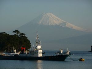 今日の富士山