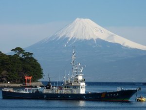今日の富士山（戸田港）
