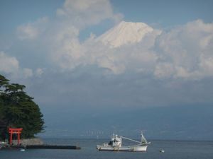 今日の富士山（戸田港より）