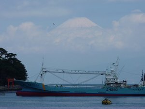 今日の富士山（戸田港）